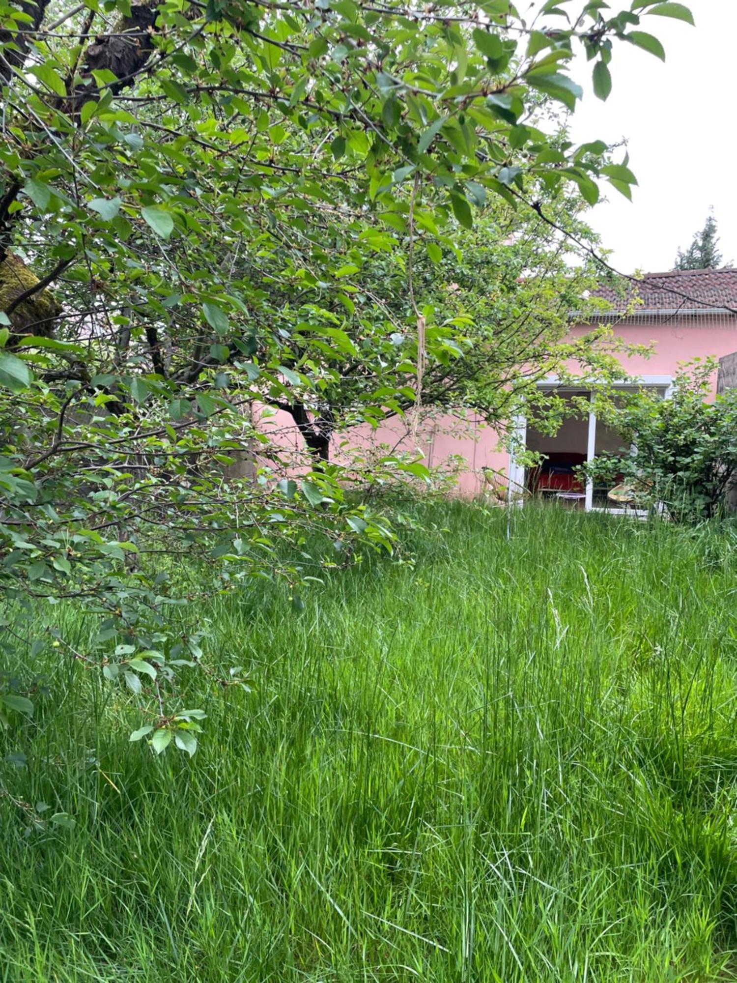 Charmante Maison Avec Jardin Aux Portes De Paris Vitry-sur-Seine Kültér fotó